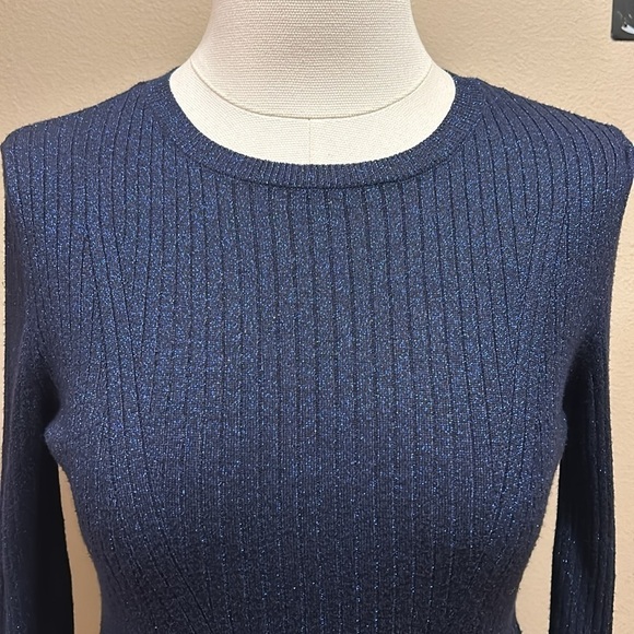 ZARA Deep Blue Metallic Lo g Sleeve Sweater Women’s Medium - Picture 2 of 7